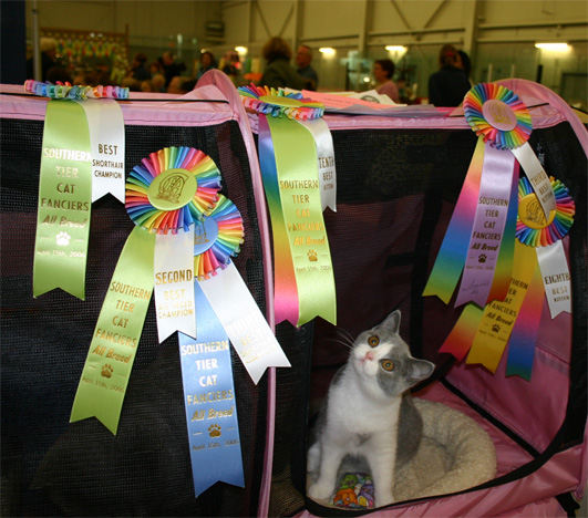 showing blue and white Margo